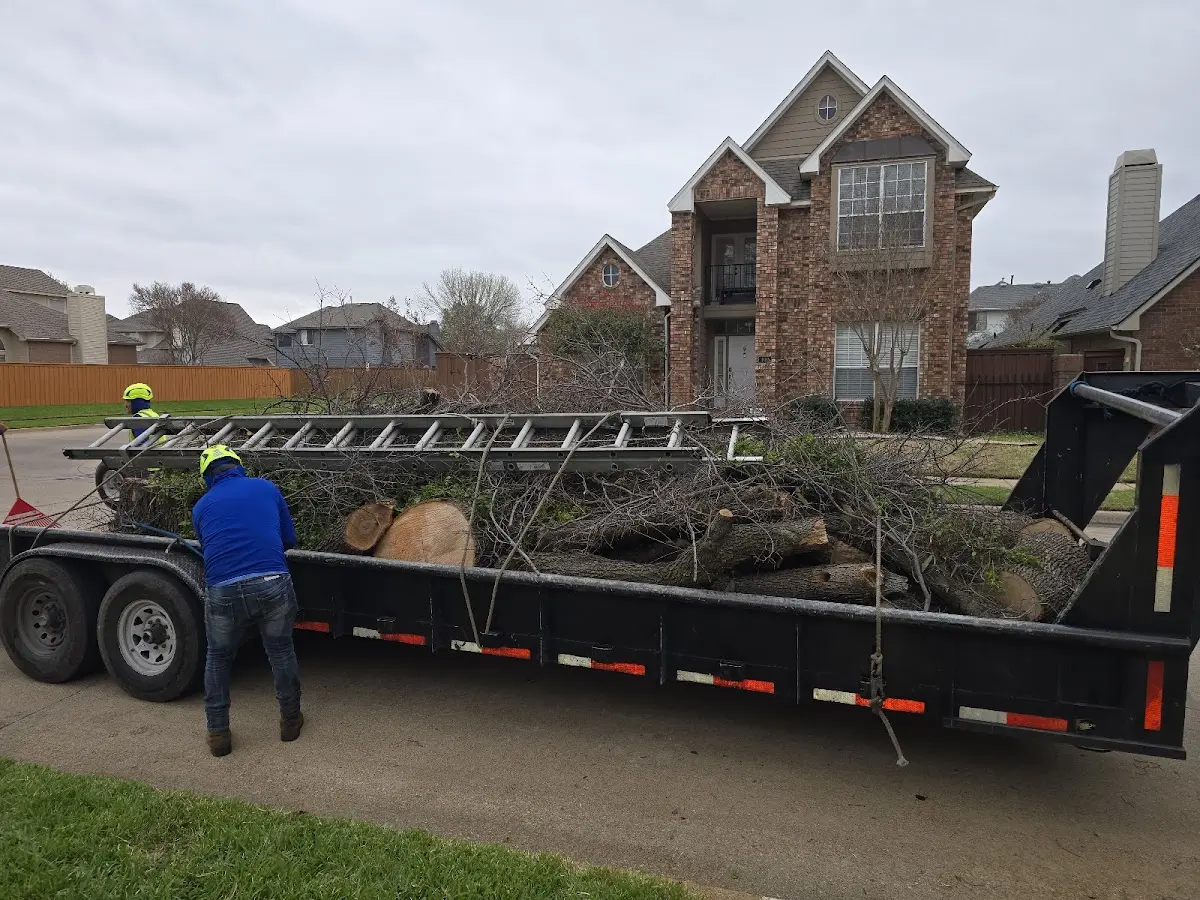 Expert Tree Pest Control with proper safety equipment in North Lakewood